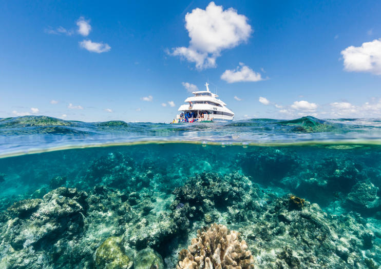 How to Spend 3 Days in Cairns & the Tropical North