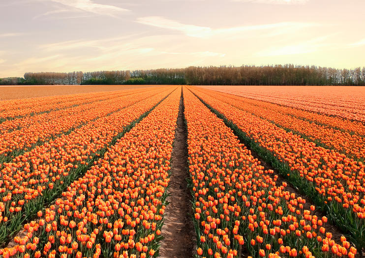 How to Spend 3 Days in Rotterdam