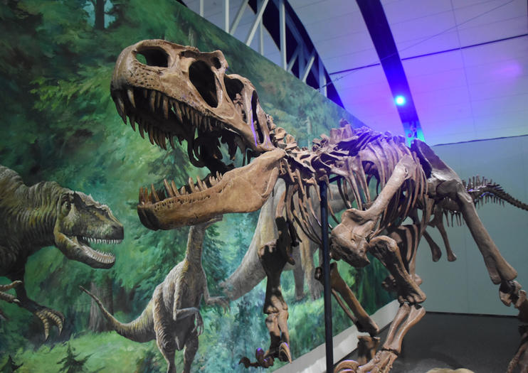 Manitoba Museum