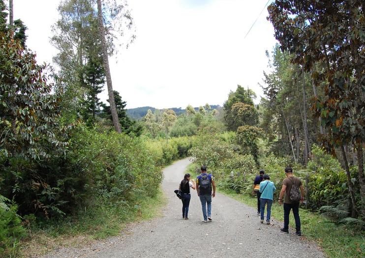 Arvi Park and Piedras Blancas Park (Parque Arvi y Parque Piedras Blancas)