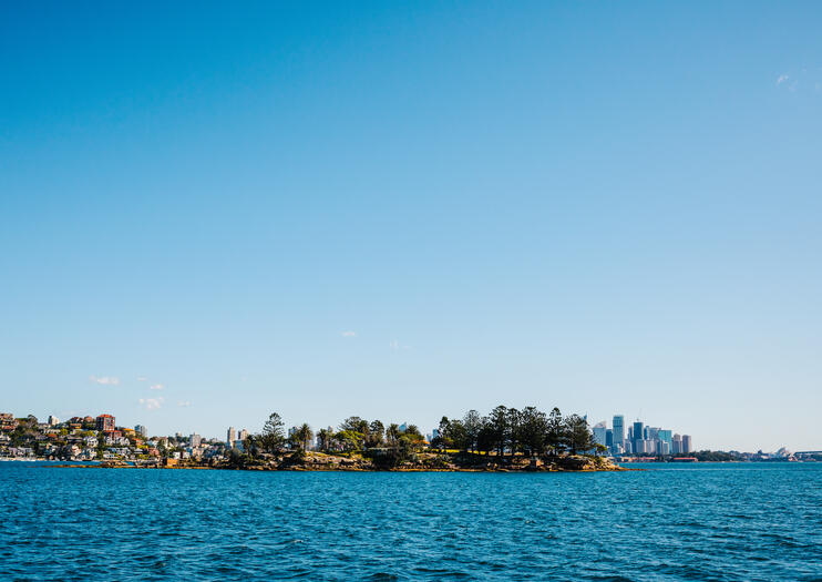 Shark Island