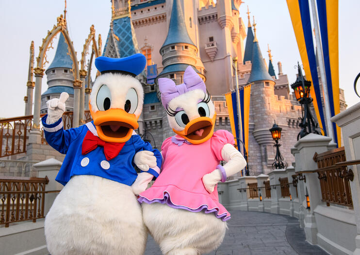 Walt Disney World®