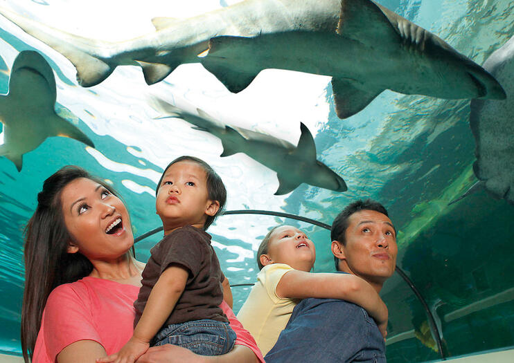 SEA LIFE® Orlando