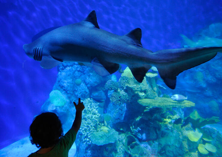Downtown Aquarium