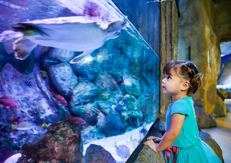 SEA LIFE® Aquarium Dallas