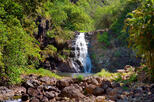 Waimea Valley
