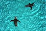 New England Aquarium