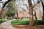 Forsyth Park