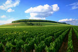 Full-Day Private Guided Tour of Champagne wih Hotel Pickup