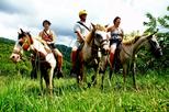 Jaco Horseback Zipline and Rappel Combo Tour