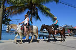 Roatan Combo Tour: Jungle Horseback Riding and Beach Break