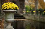 Latin Quarter 2-Hour Private Walking Tour