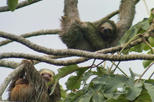 Arenal Volcano Tour: Volcano Hike and La Fortuna Waterfall