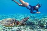 Small-Group Circle Island Tour with Snorkeling
