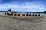 ATV and Canopy Zip-line Tour from Tamarindo