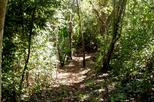 Samara Trails Including Werner Sauter Biological Reserve