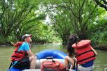 Wild Life Safari Float