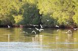 Juan Venado Island Nature Reserve