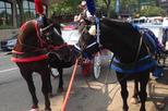 Philadelphia Horse Drawn Carriage Tour
