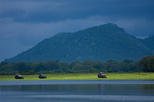 Private Tour: Udawalawe National Park Safari