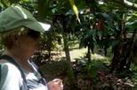 Don Olivo Chocolate Tour from La Fortuna