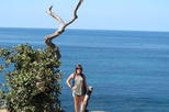 Private San Diego Sightseeing Tour