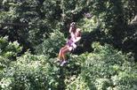 Buena Vista Horseback Riding, Hiking, Hot Springs and Zip Line