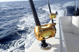 Private Fishing and Snorkeling Adventure in Roatan