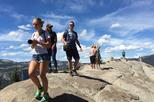 Yosemite and Glacier Point Day Tour