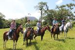 Horseback Riding at Arenal Wilberth Stable in front of Arenal Volcano National Park