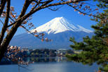 Mt Fuji Day Trip with Lake Ashi Sightseeing Cruise from Tokyo