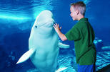 SeaWorld Admission Ticket with Transport