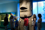 American Museum of Natural History VIP Tour