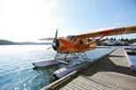 Seaplane Tour from Friday Harbor