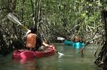 Damas Island Mangrove Kayaking Tour