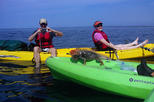 Manuel Antonio Ocean Kayaking & Snorkeling