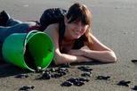 Costa Rica Discovery Tour: Help Protect Sea Turtles