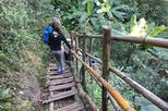 Doi Inthanon Private Tour with Trek, Lunch from Chiang Mai