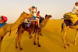 Private Excursion: Half Day Safari Route Jaisalmer - Camel-safari - Jaisalmer