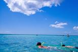 Cayman Islands Breakfast and Snorkel Cruise to Stingray City