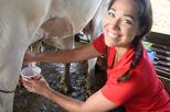 Rio Celeste Cultural Farm Private Tour with Lunch or Dinner