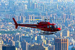 New York City Big Apple Helicopter Tour