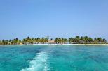 Snorkeling Adventure at Laughing Bird Caye Nationa