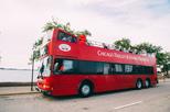 Chicago City Hop-On Hop-Off Bus Trolley Tour Pass