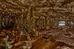 East Coast Adventure Tour in Bonaire