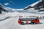 Columbia Icefield Tour with Glacier Skywalk from Calgary