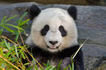 San Diego Zoo