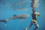 Tamarindo to Catalina Island Snorkeling Adventure with Guide