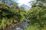 Arenal Tour: Volcano Hike, Hanging Bridges, and Hot Springs