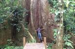 San Jose to Cinco Ceibas Rainforest Reserve and Adventure Park